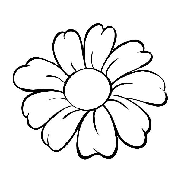 Daisy Flower, : Daisy Flower Outline Coloring Page