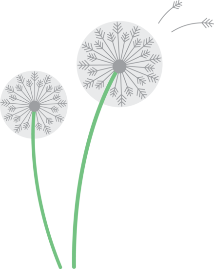 Dandelion Flower Clipart #1 .