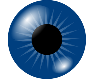 Dark Blue Eye Clip art