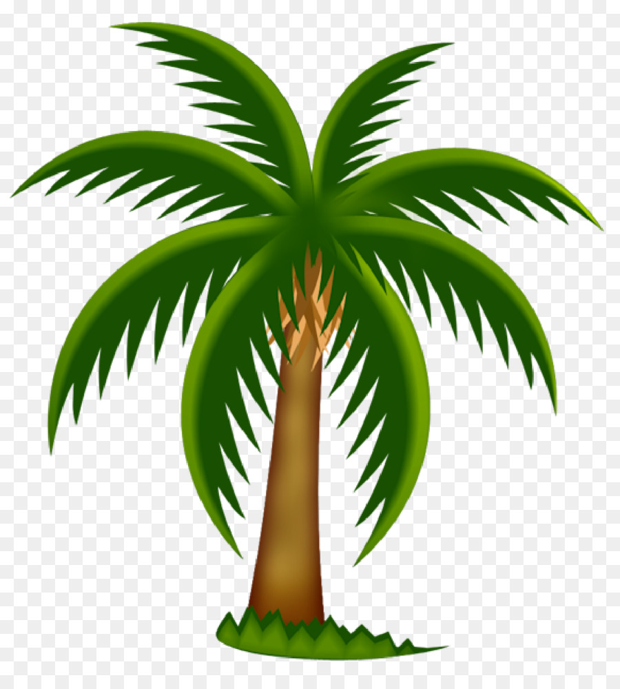 Arecaceae Date palm Tree Clip art - palm trees png download - 1121*1223 -  Free Transparent Arecaceae png Download.