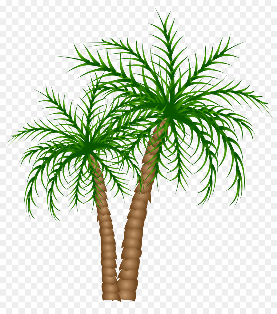 Arecaceae Tree Date palm Clip art - palm tree png download - 4991*5563 -  Free Transparent Arecaceae png Download.