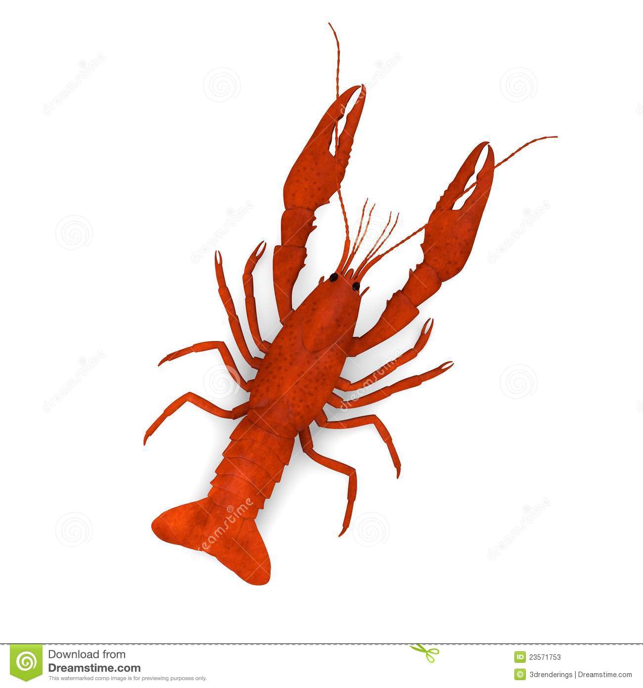 Dead red crayfish Stock Photo - Crayfish Clipart