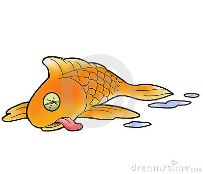Death Fish Stock Photography  - Dead Fish Clipart