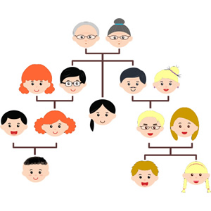 Family tree genealoy and back