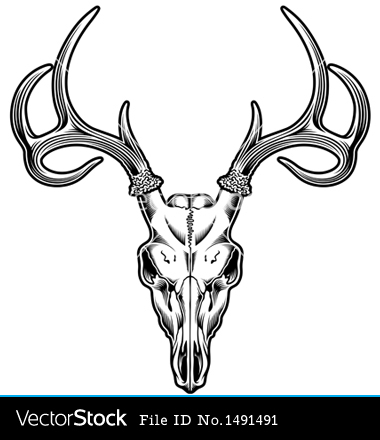 deer skull clipart - Deer Skull Clip Art