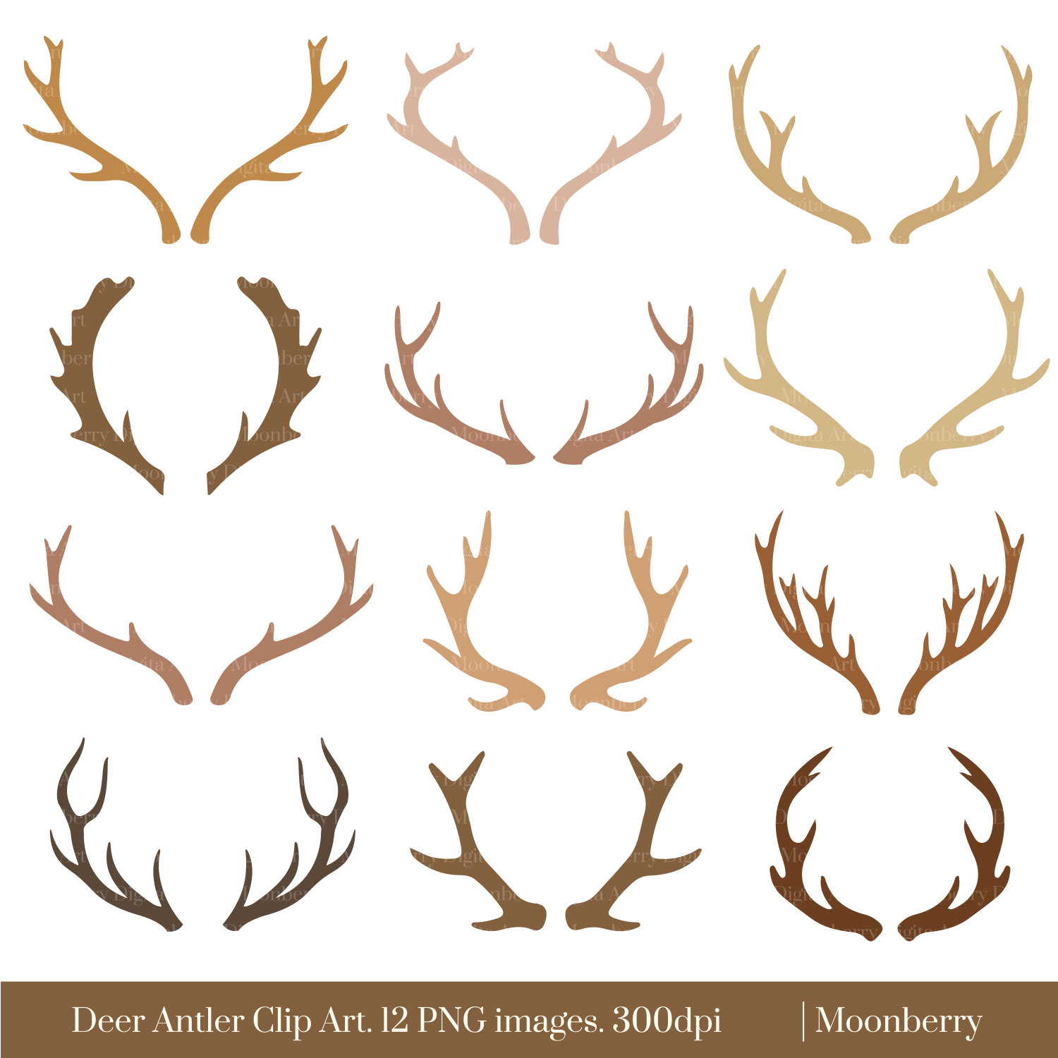 Deer Antler Clipart Deer Horn - Deer Antler Clip Art