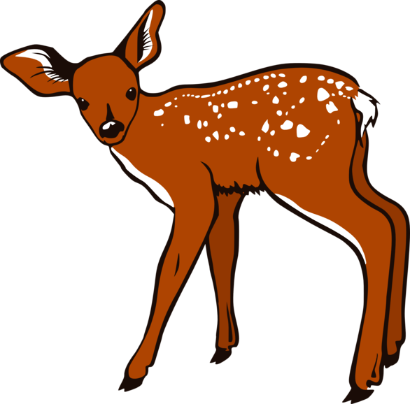 baby deer clipart