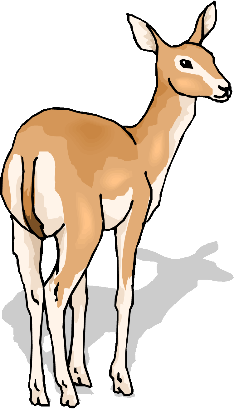 Deer clipart black and white 
