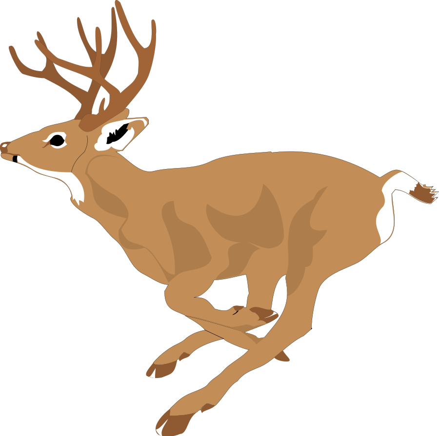 Deer clip art .