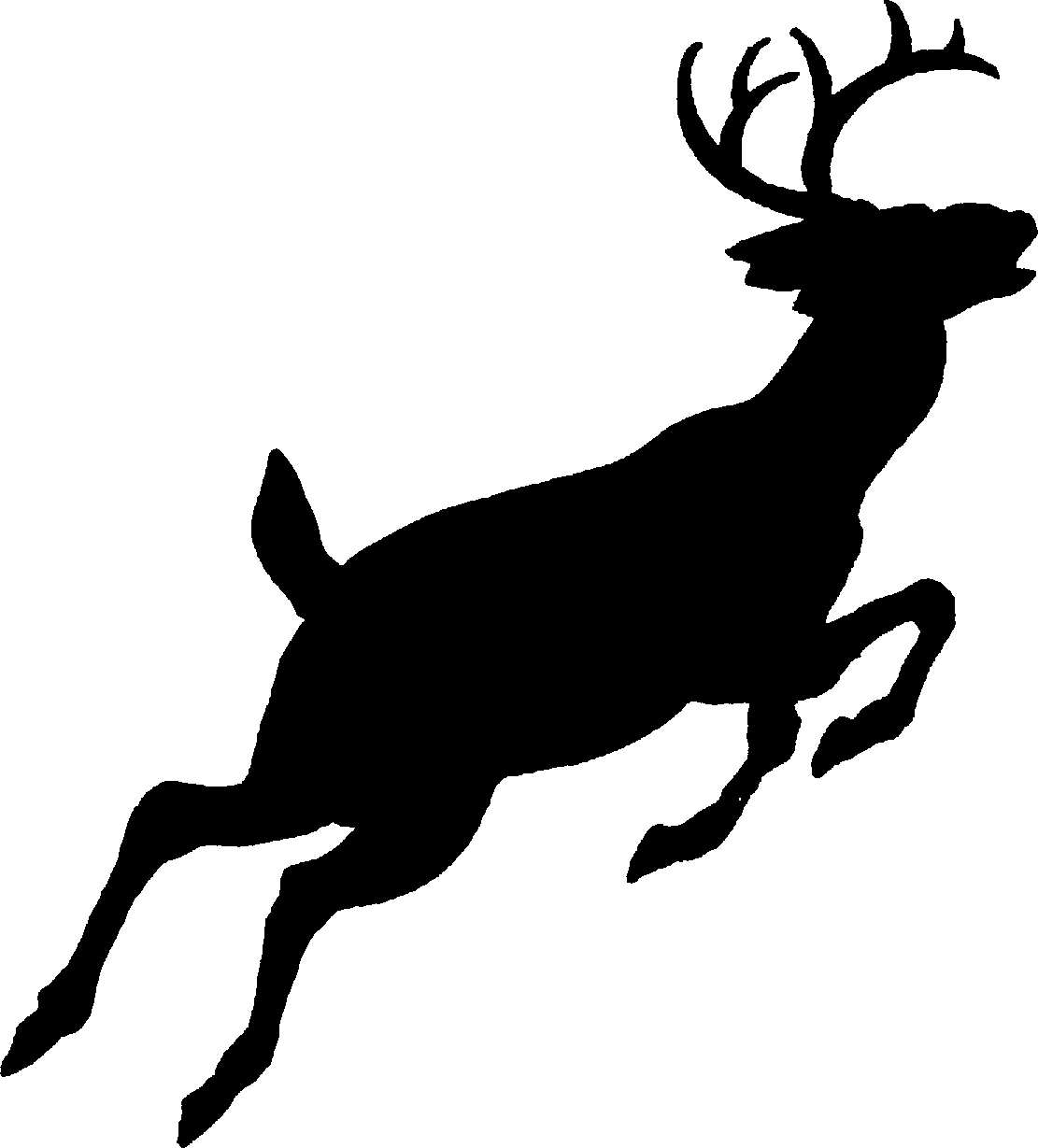 Deer Clipart Black And White  - Whitetail Deer Clipart