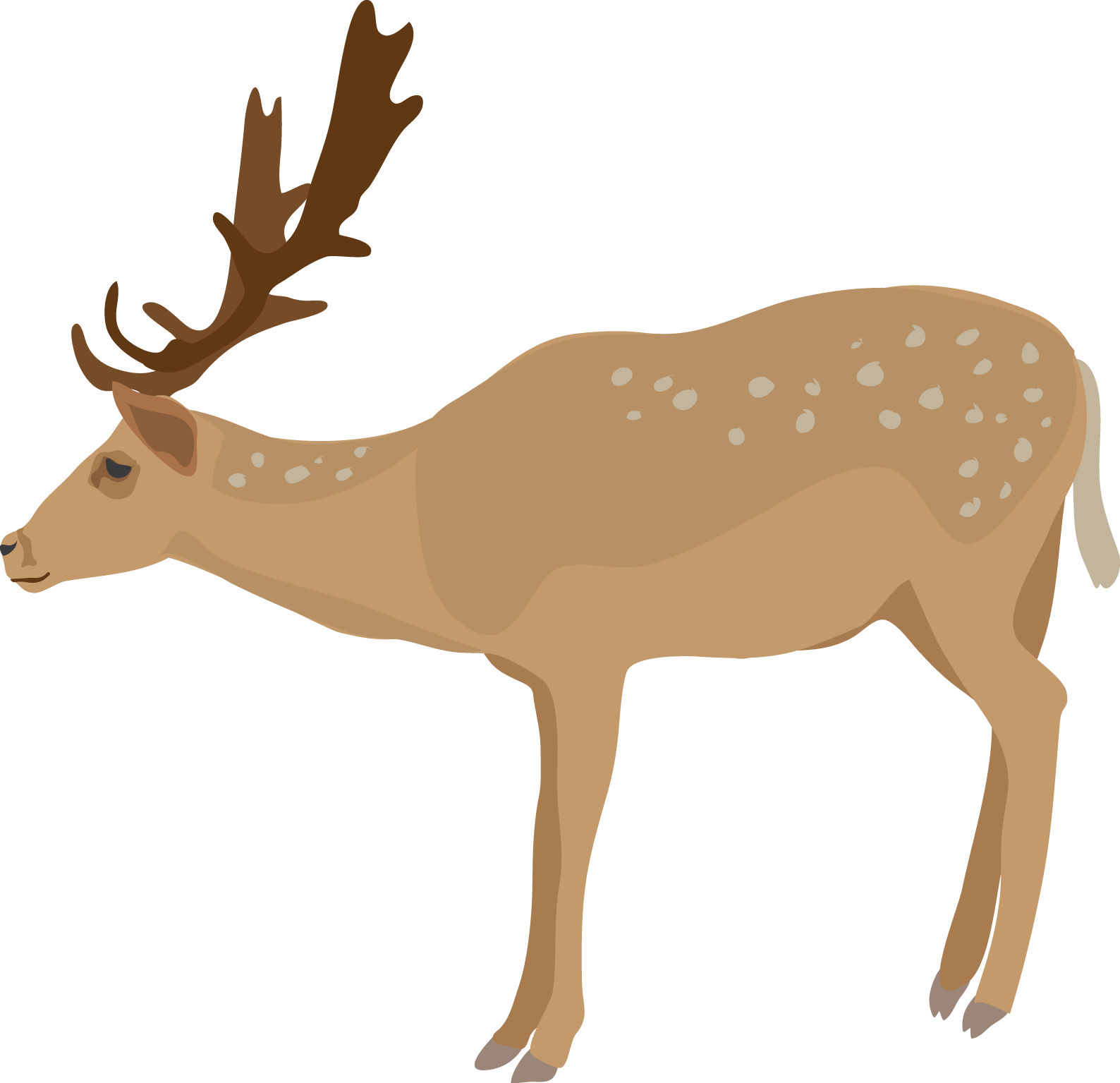 Deer Clipart - Clipart Deer