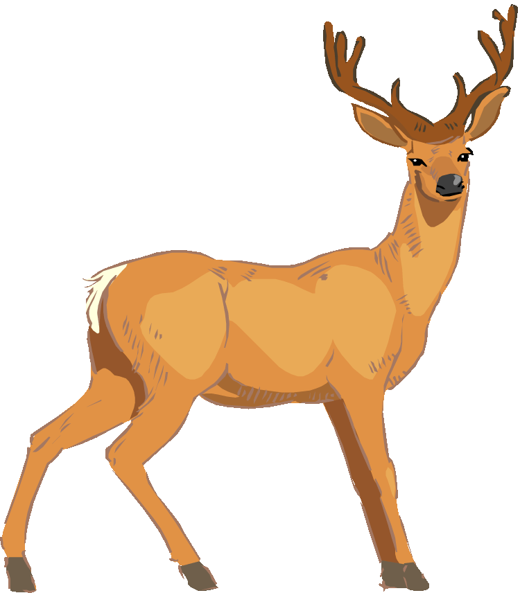 Deer clipart, Deer animals png clip art,