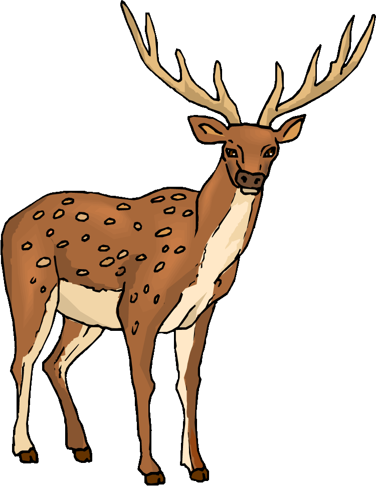 Deer clipart free clip art . - Deer Clipart Free