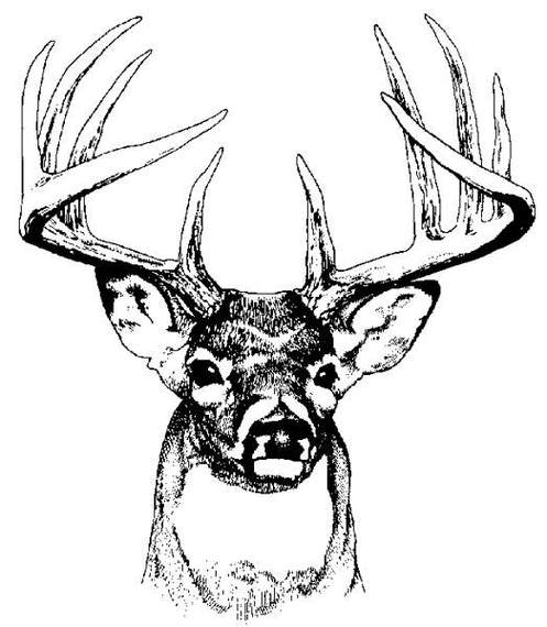 Deer Head Art Clipart To Use Clip Resource