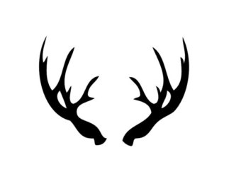 Elk Antler Drawings Clipart. 