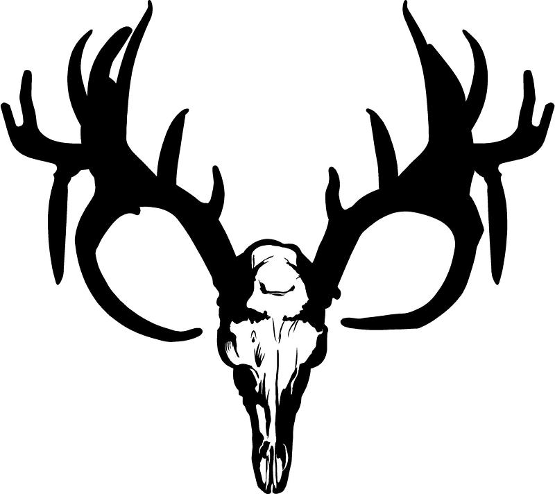 Deer Skull Decal Drop Tine Free Clipart Images