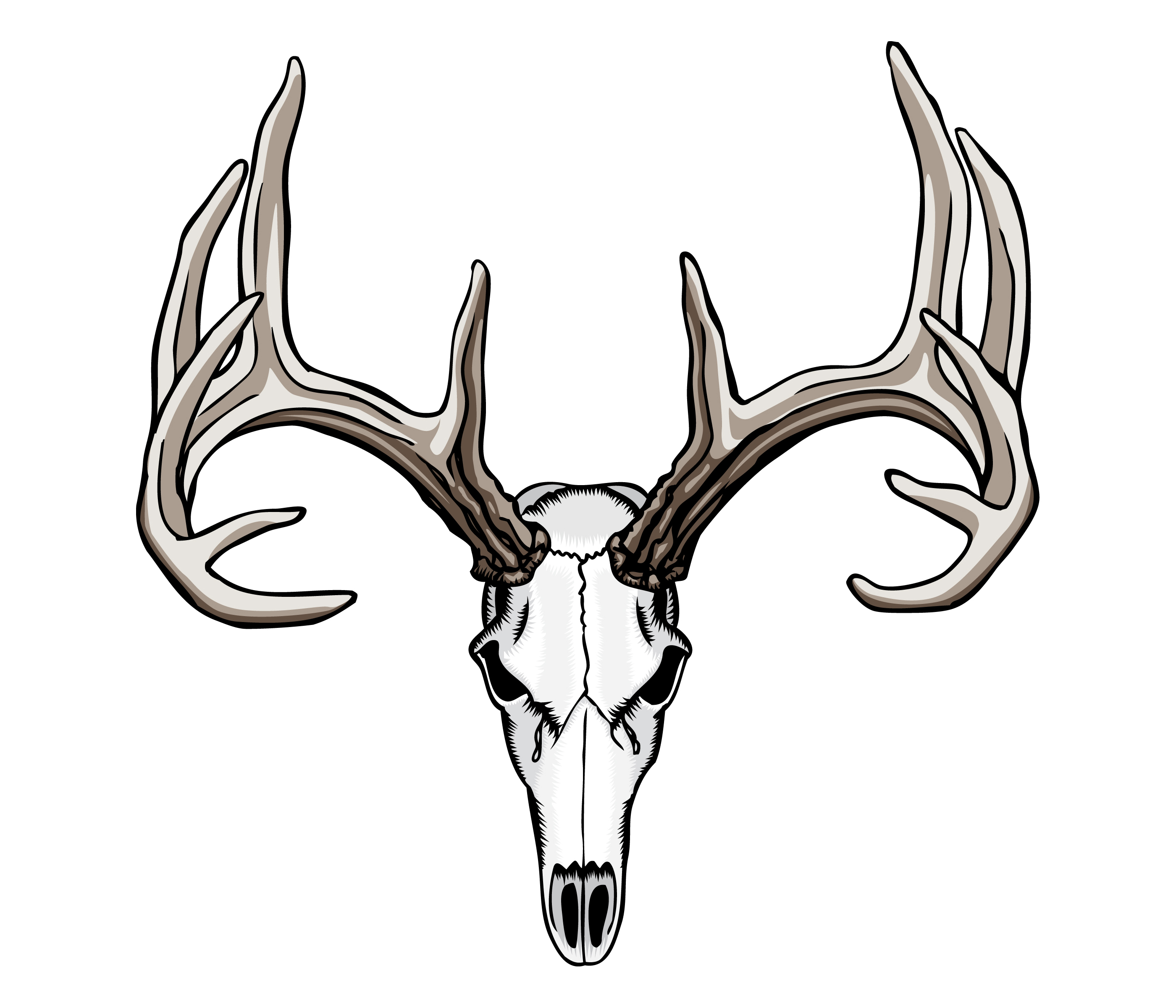 Deer Skull Decal Clipart Pand