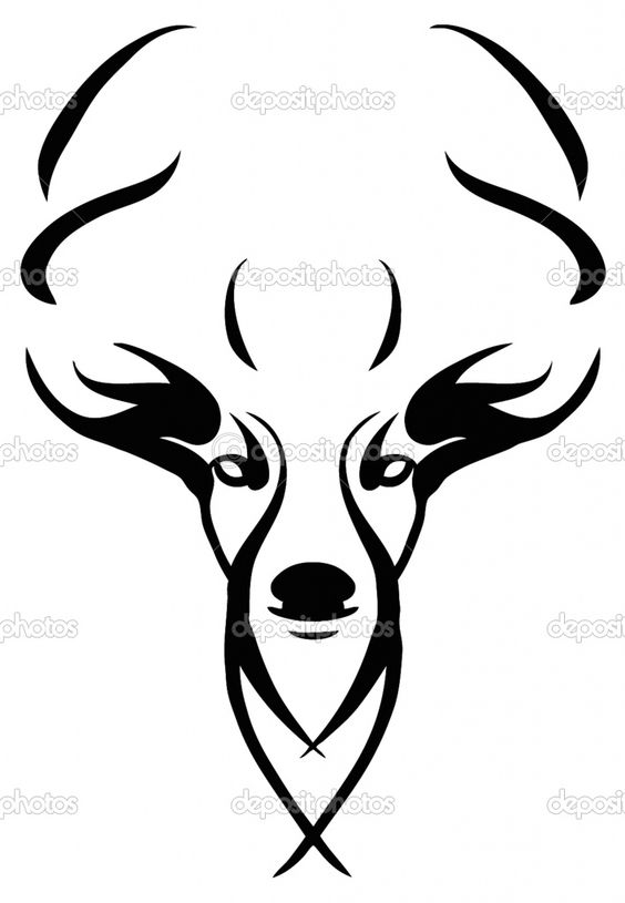 Deer Skull Drawings | images of deer skull clip art pictures wallpaper