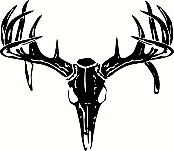 Deer Skull Images - Deer Skull Clip Art