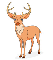 deer with antlers. Size: 77 Kb