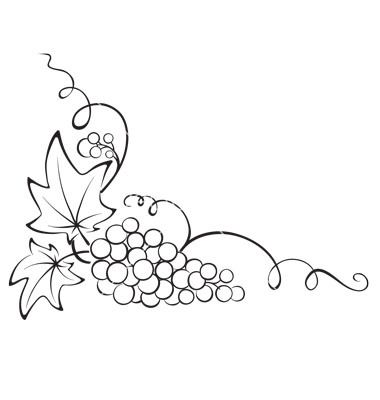 Design element - grapevine ve - Grapevine Clipart