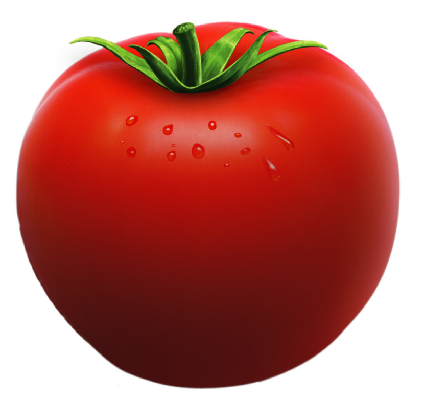 tomato clipart black and whit