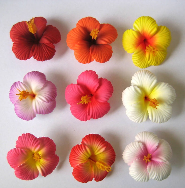 Details about Set of 20 ~Hawaiian Hawaii Bridal Wedding Party Hibiscus Foam  Flower Hair Clips