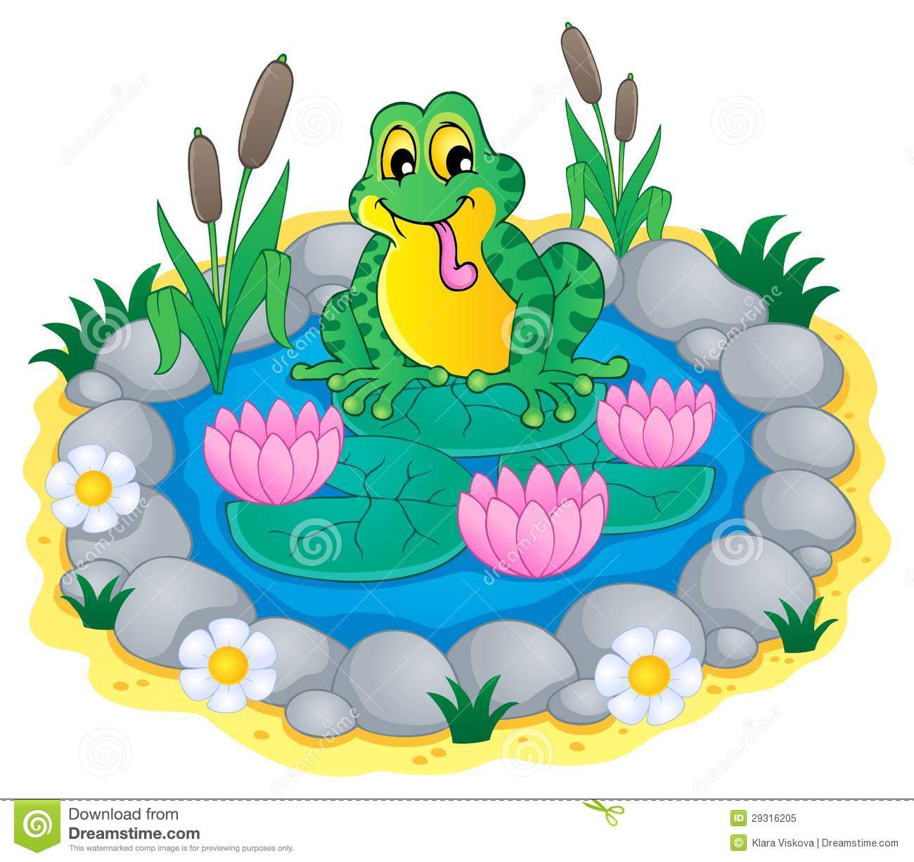 Displaying 18 Images For Pond - Ecosystem Clipart