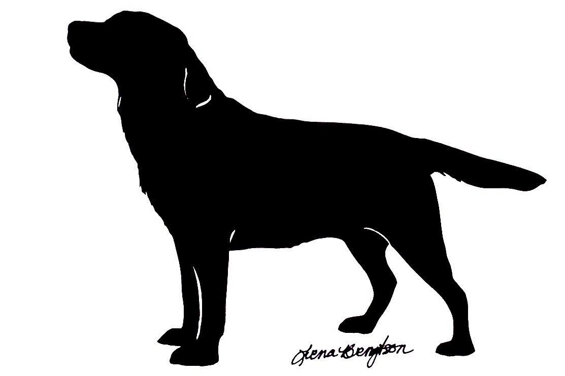 Labrador Retriever Dog T-Shir