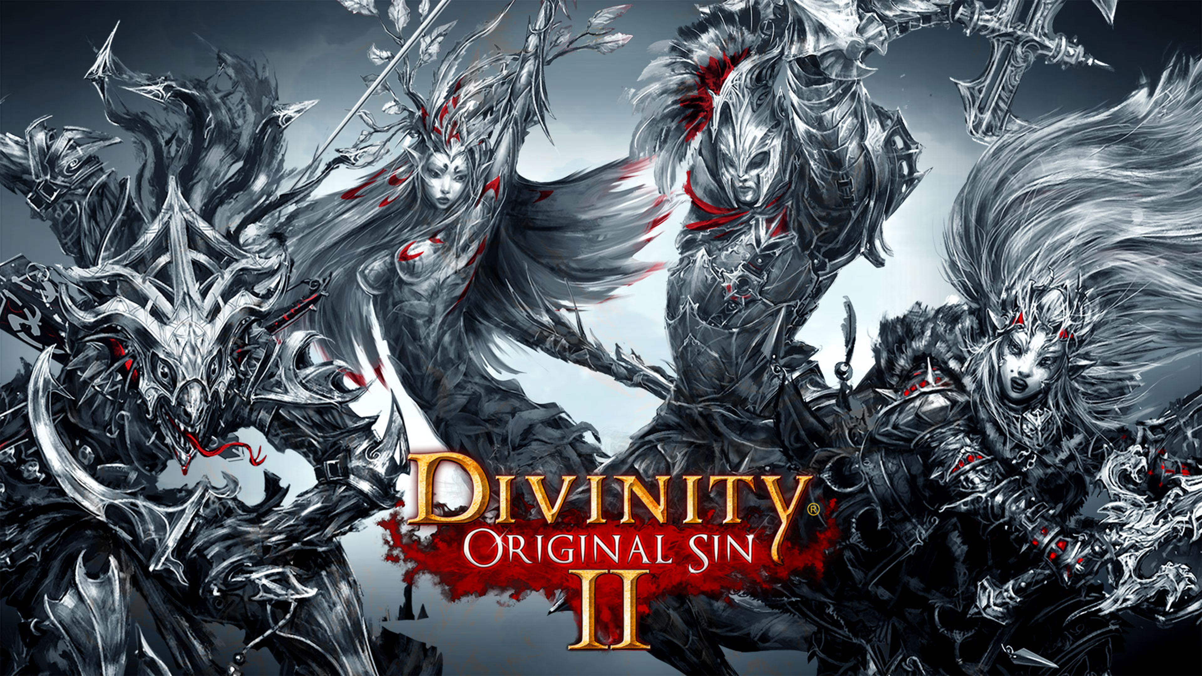 Divinity Original Sin PNG