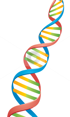 Dna Clipart Cutcaster Photo 100368190 Double Helix Dna Strand Jpg