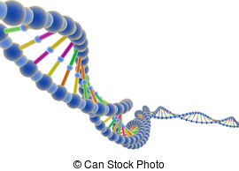 . hdclipartall.com DNA 4 - 3D Render of DNA in white background