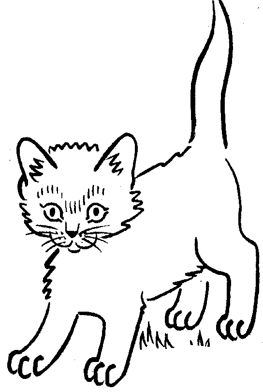 Clip Art Cat 3 1979 X 1427 11