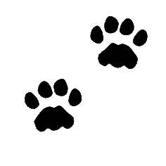 Greyhound paw print clipart