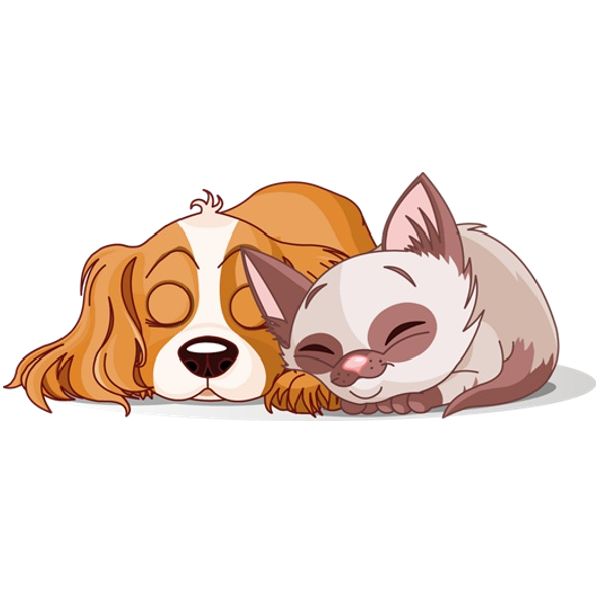 CLIPART DOG AND CAT