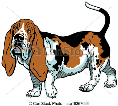 dog basset hound breed , imag - Hound Dog Clipart