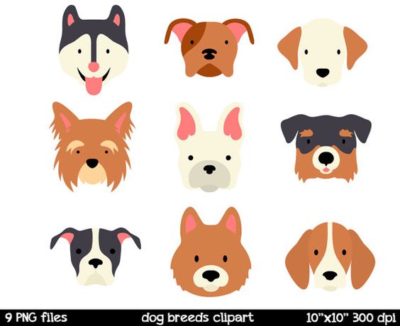 Dog Breeds clipart Dog Face Clipart Husky Clipart by SorbetBox