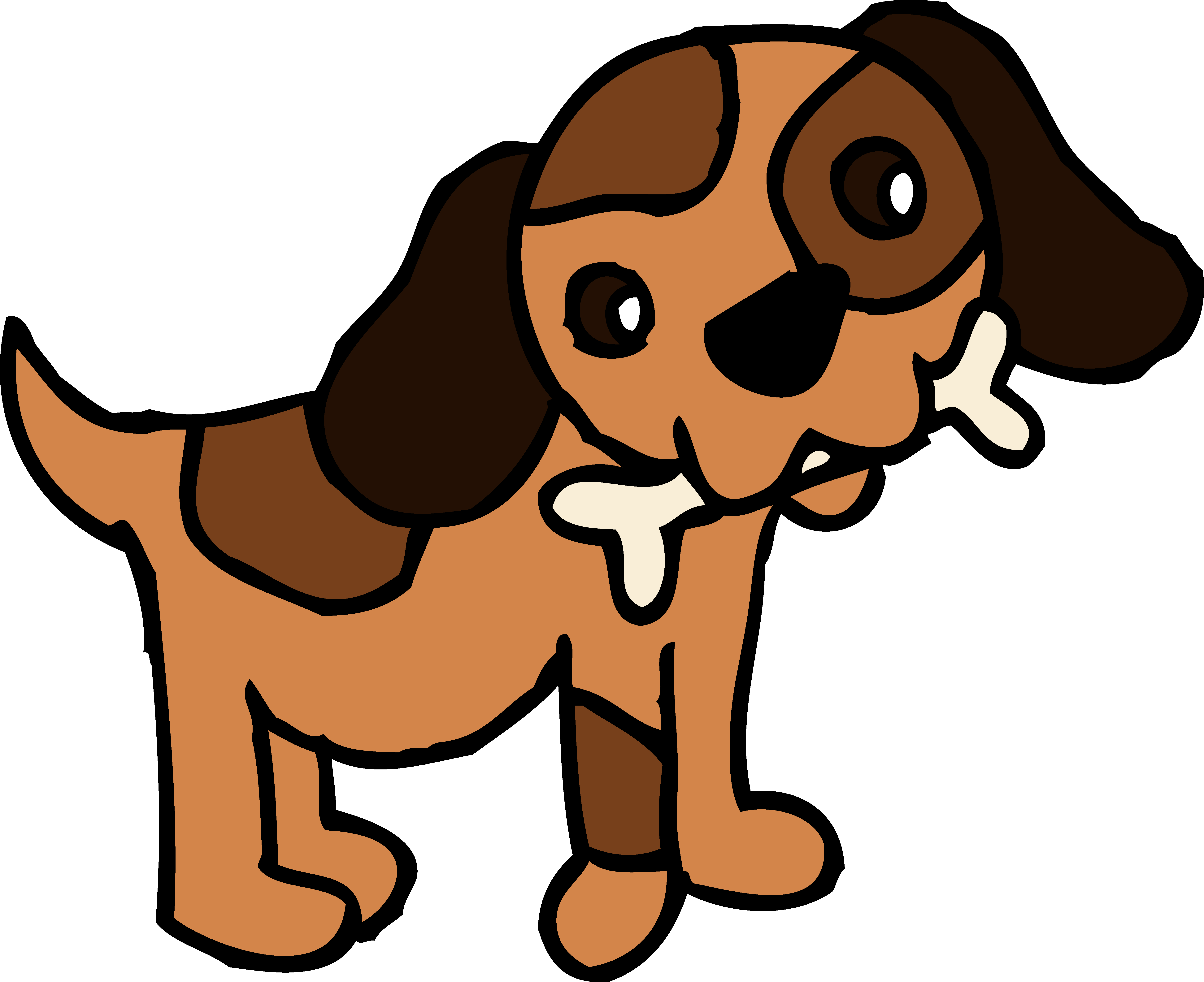 Image of Brown and White Dog