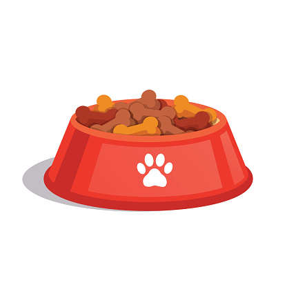 Dog dry food bowl.