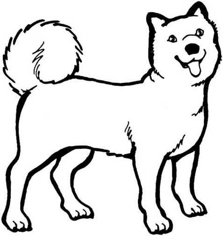 Dog Clipart Black And White .