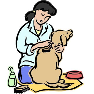 ... Dog groomer clipart cartoon; Animal Grooming - Cartoon Animalu0026#39;s Homepage ...