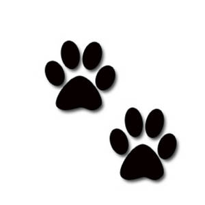 dog paw heart clipart