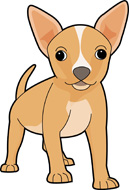 dogs_chihuahua chihuahua dog. Size: 79 Kb From: Dog Clipart
