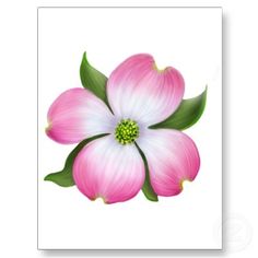dogwood flower- for the tattoo