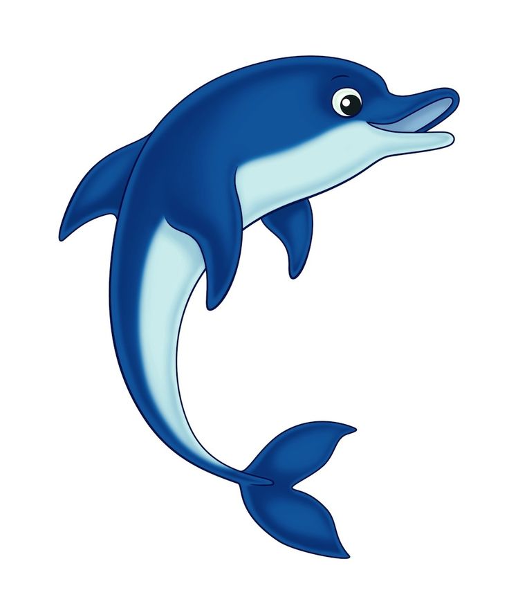 Dolphin clip art black and .