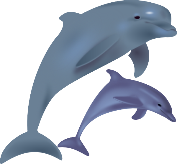 cute dolphin animal. Size: 69