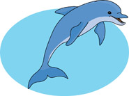 dolphin jumping out of water. - Dolphins Clipart