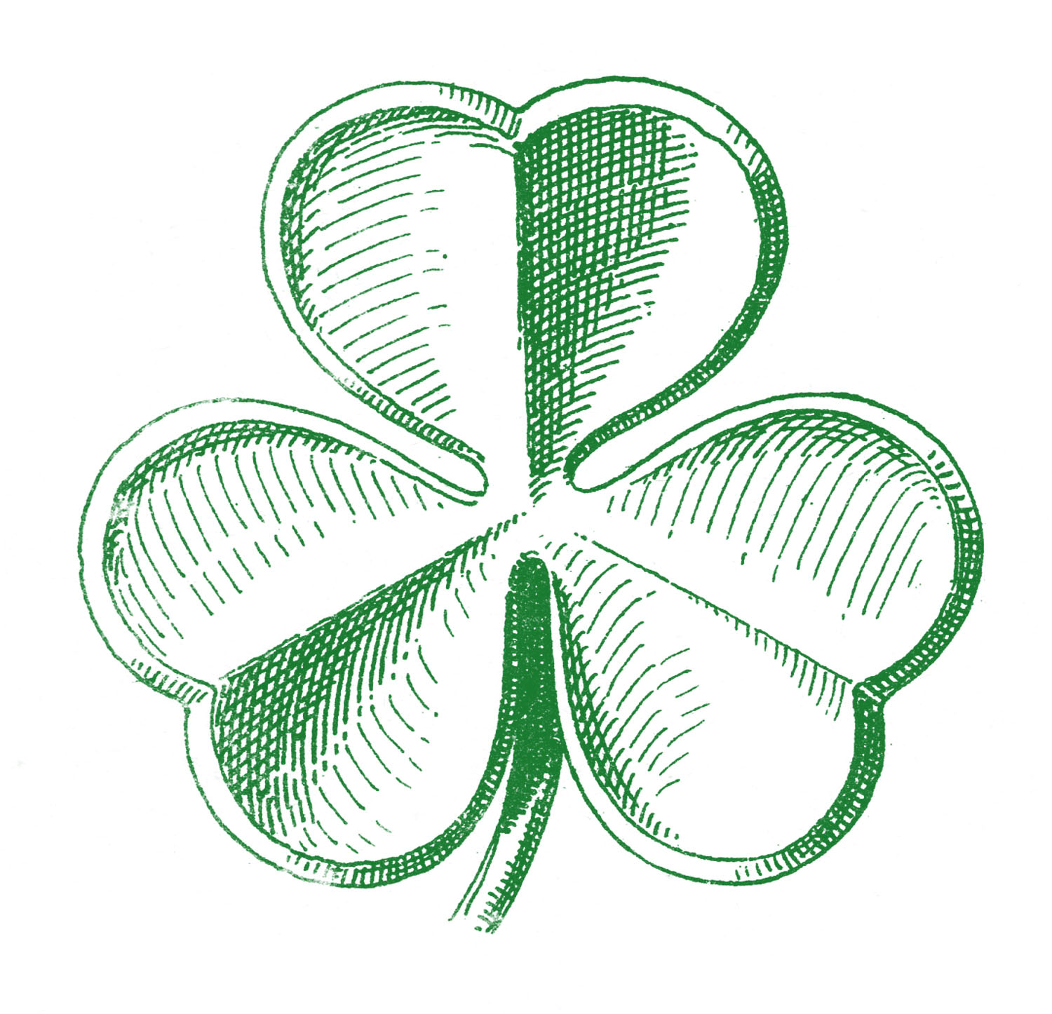 Domain Clip Art Shamrocks St  - Clip Art Public Domain