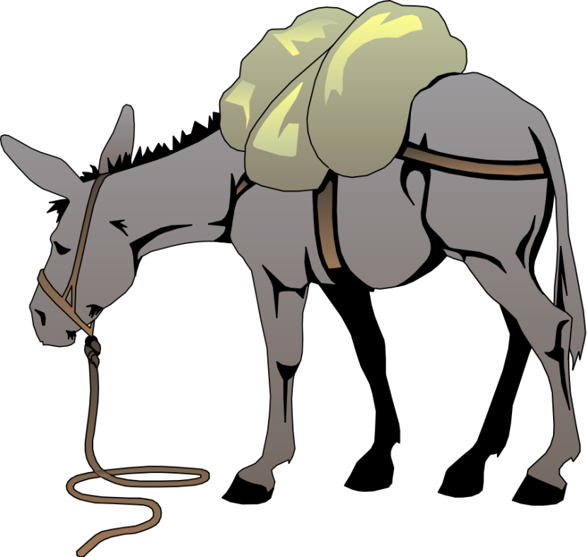 Donkey Clip Art Free Clipart  - Clipart Donkey