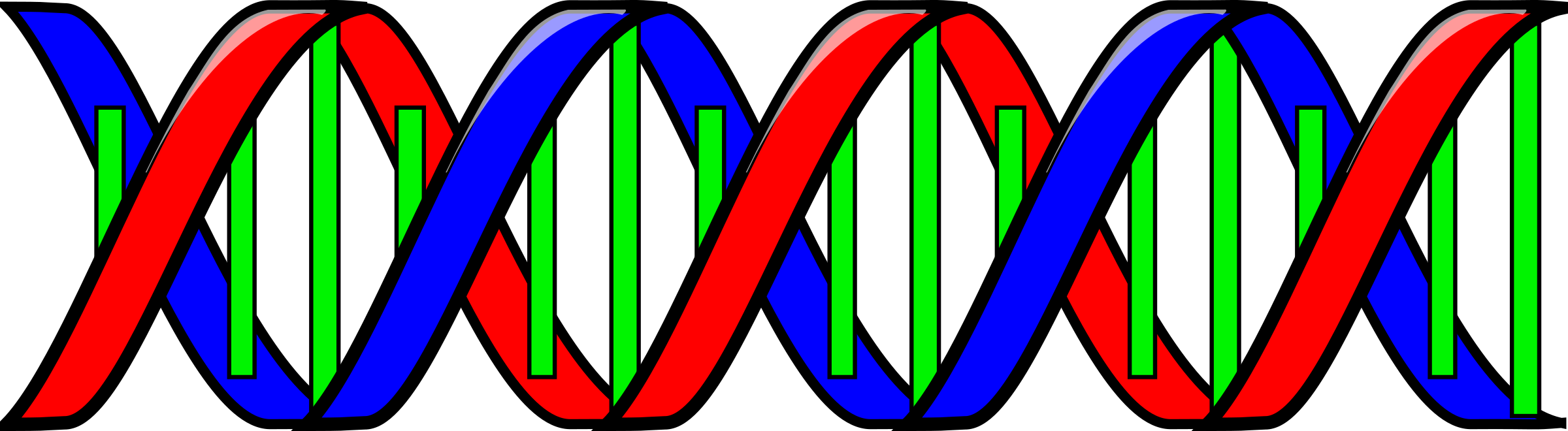 Double Helix (DNA)